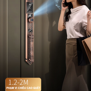 Alternative view of Khóa Cửa Tân Cổ Điển Đại Sảnh Avolock AC 995 – Đỉnh Cao Sang Trọng & Công Nghệ 3D Face ID Thế Hệ Mới
