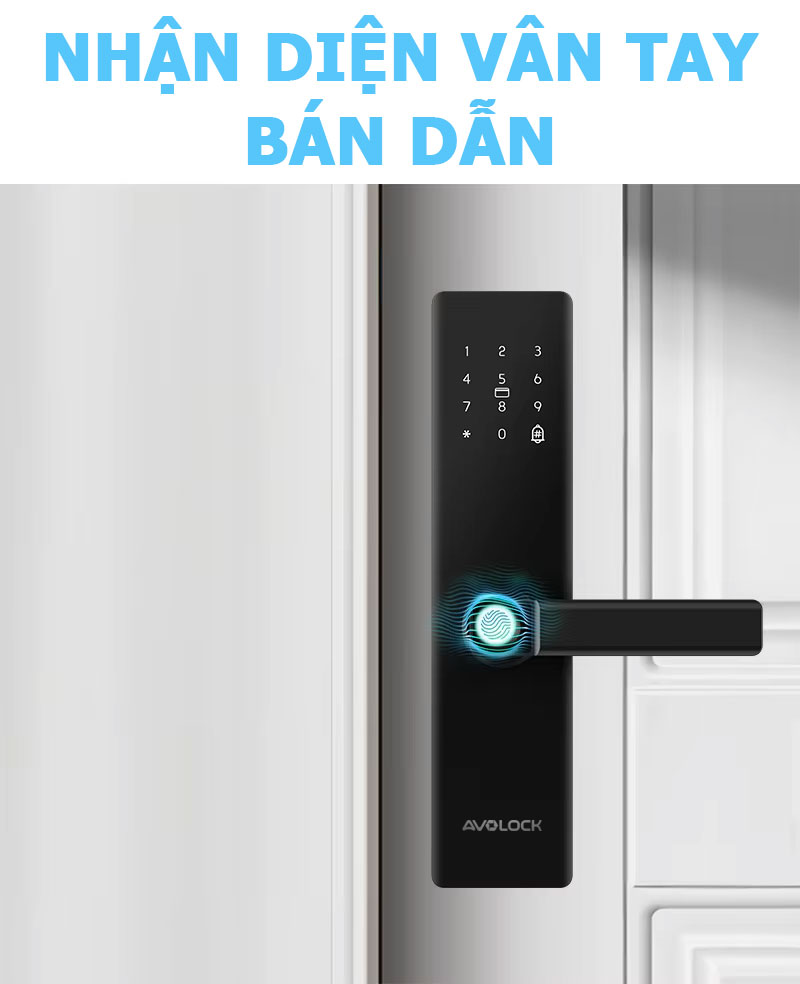 Khóa vân tay cho cửa thông phòng Avolock AV60 - Ảnh 3