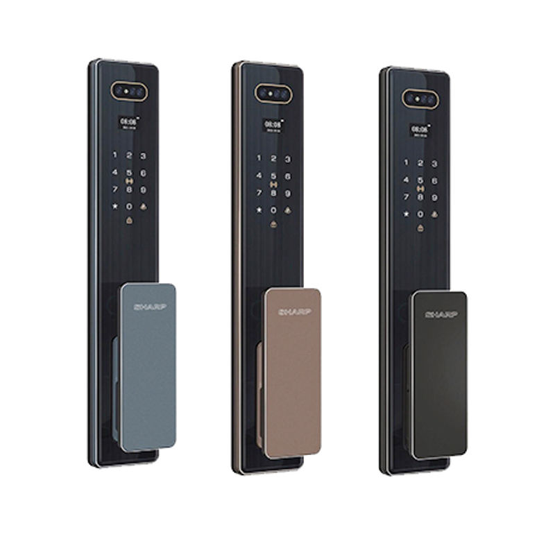 Khóa khuôn mặt Face ID Sharp S6FV cao cấp lắp tại Huế cho biệt thự, homestay